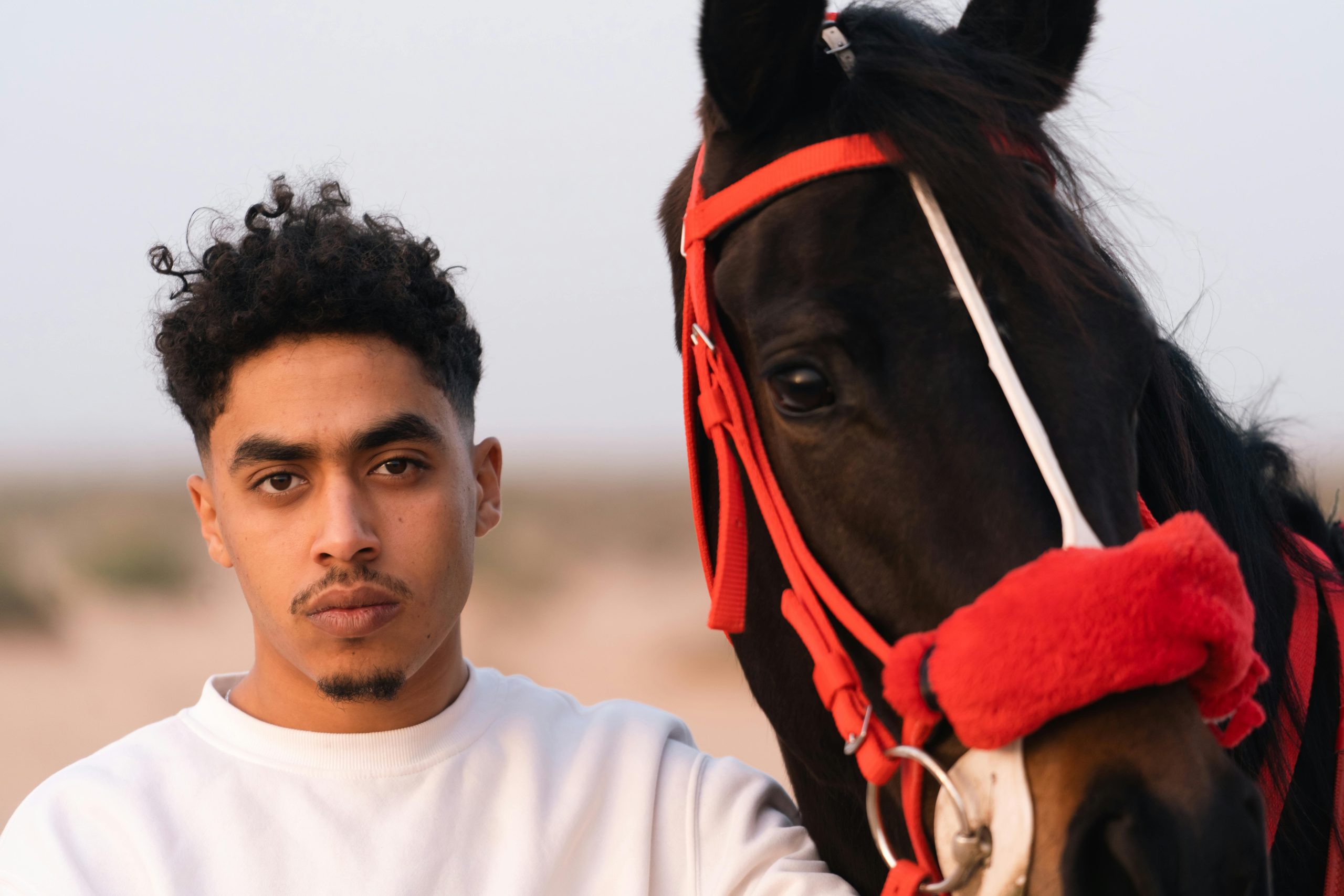 Home A young man with an Arabian horse in Al-Hammah, Tunisia.